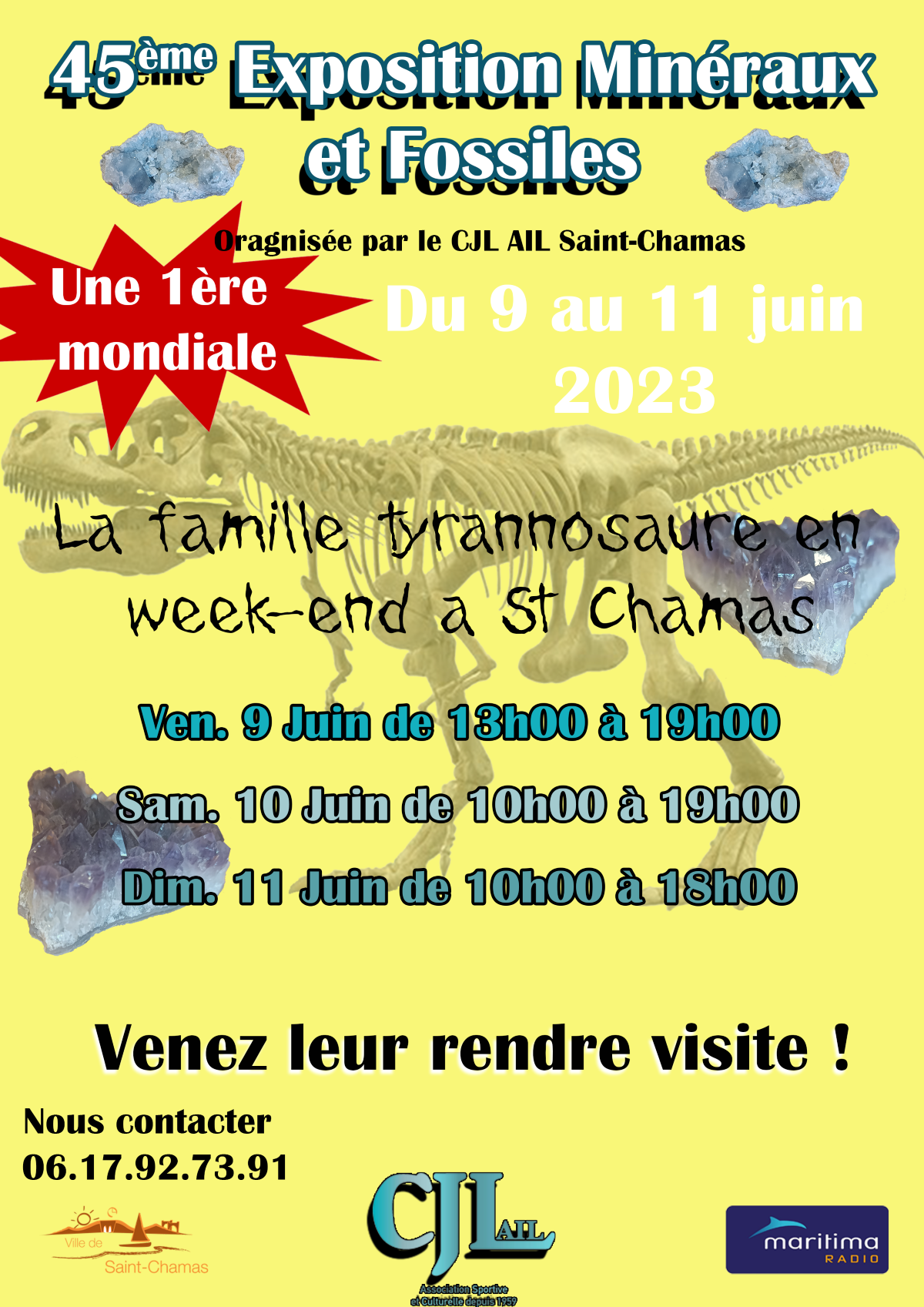 45ème Salon des Minéraux et Fossiles