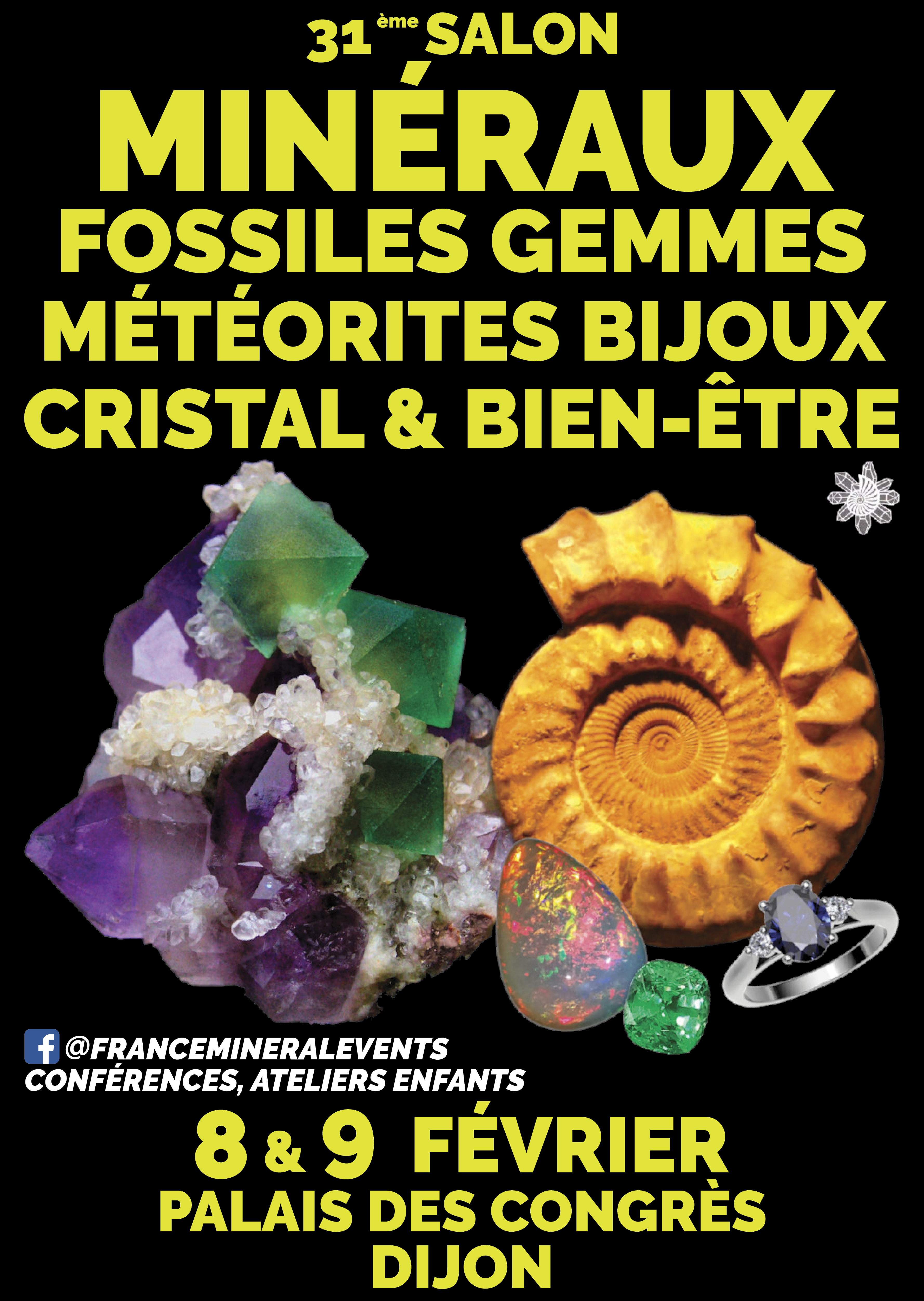 31ème Salon MinéralEvent Dijon