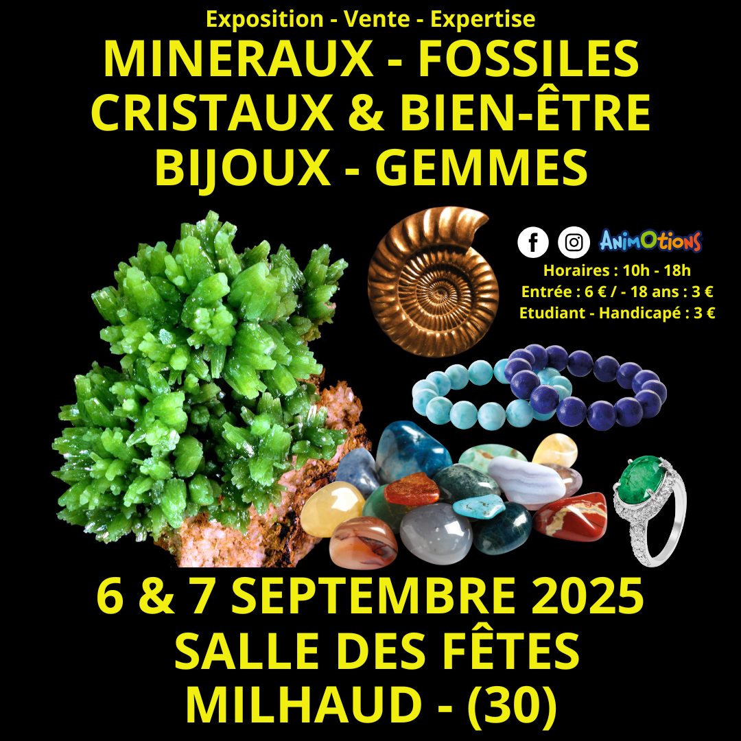 Salon Minéraux Fossiles Cristaux & Bien-Être Bijoux et Gemmes de Nîmes