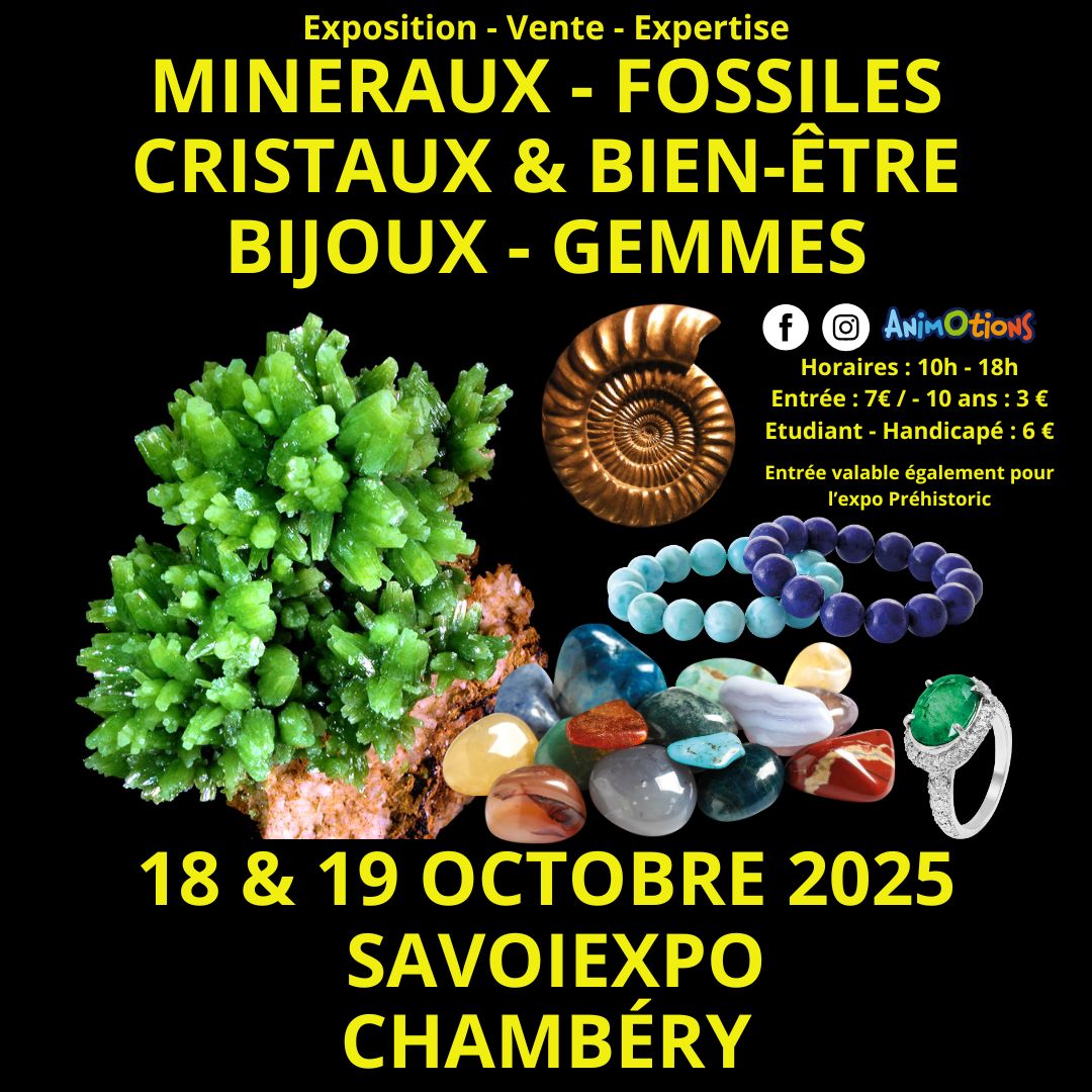 6ème Salon Minéraux Fossiles Cristaux Bien-Être Bijoux et Gemmes