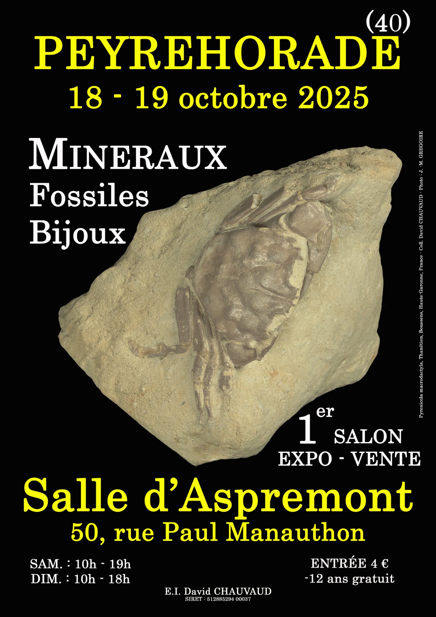 1er SALON MINERAUX FOSSILES BIJOUX