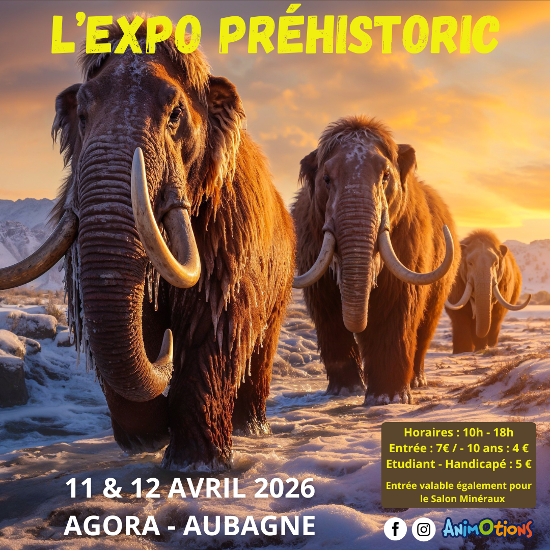 L'Expo Préhistoric