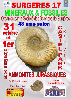 48e Internationale Mineralen- en Fossielententoonstelling