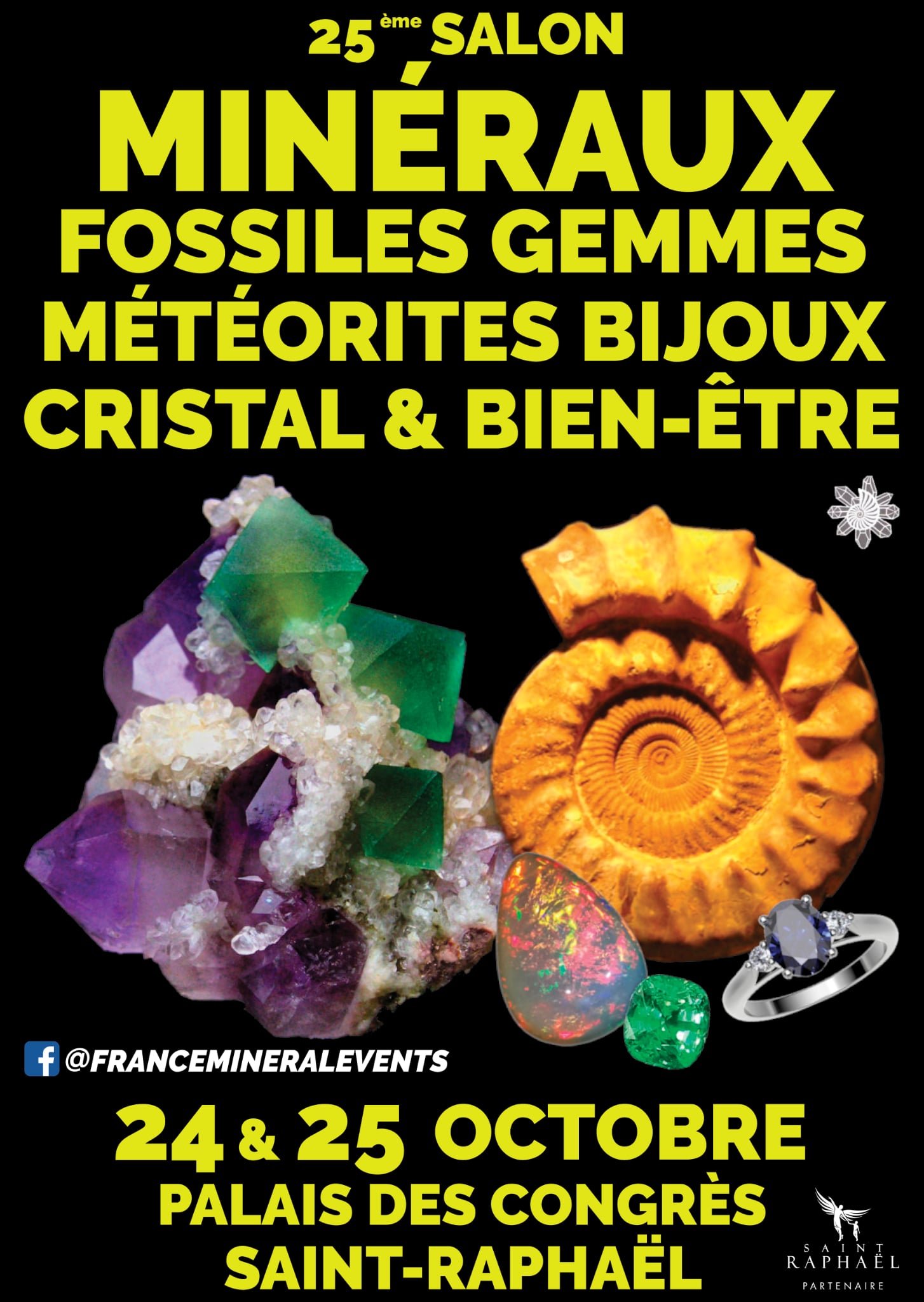 25ème Salon des Minéraux de Saint-Raphaël