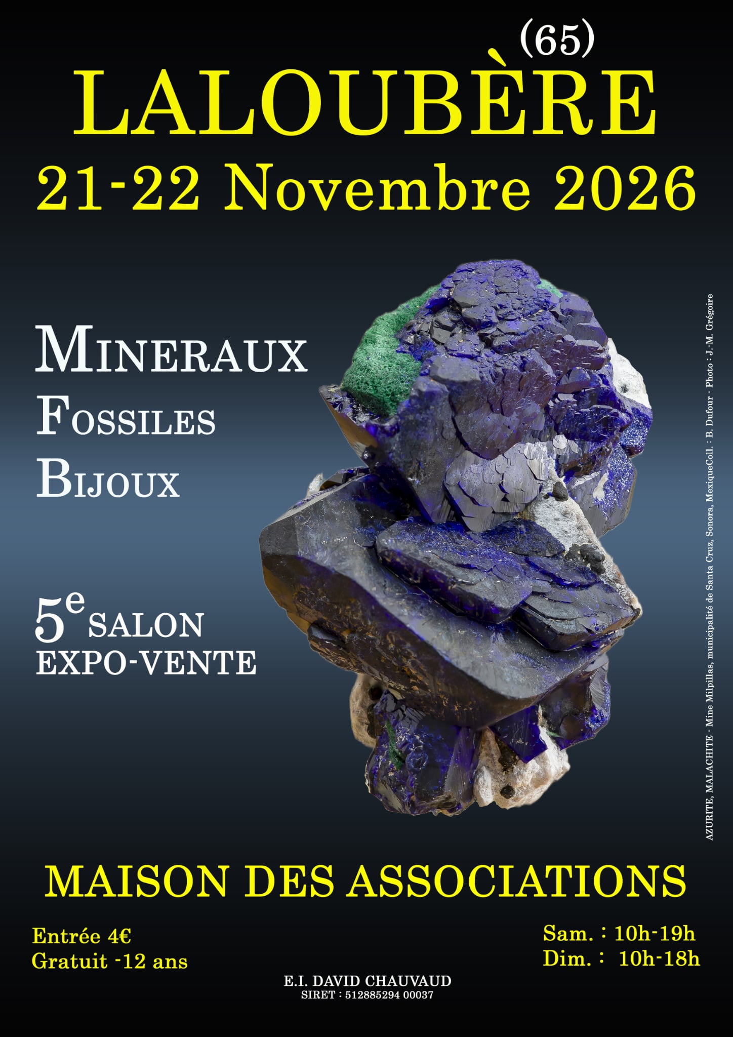5e SALON MINERAUX FOSSILES BIJOUX de LALOUBERE