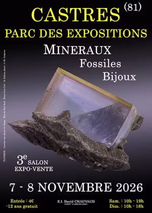 3e Castres Mineralen-, Fossielen- en Sieradenbeurs