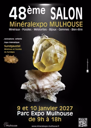 48e Mineralexpo-Mulhouse 2027 vakbeurs