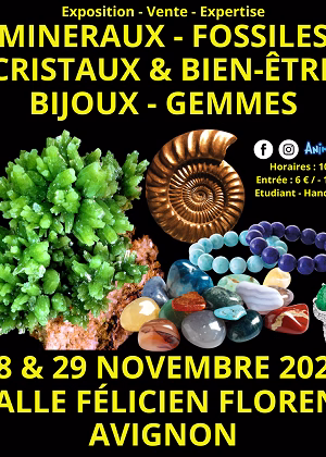 Mineralen-, Fossielen- en Kristallenbeurs & Welzijn Edelstenen en Sieraden