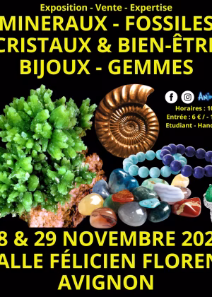 Mineralen-, Fossielen- en Kristallenbeurs & Welzijn Edelstenen en Sieraden