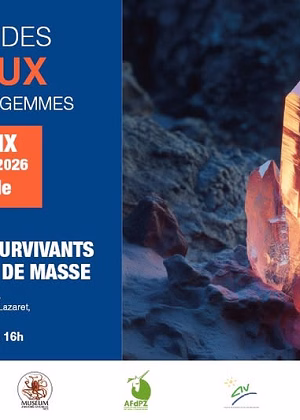 41e Mineralen-, Fossielen- en Edelstenenbeurs