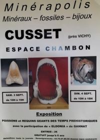 MINERAPOLIS tentoonstelling van fossielen, mineralen en sieraden