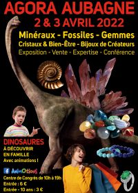 Salon Fossiele Mineralen Edelstenen Kristallen & Welzijn
