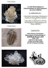 8e Mineralen en fossielenuitwisseling