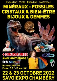 Fossiele mineralen Kristallen en welzijn Sieraden en edelstenenbeurs en tentoonstelling over dinosaurussen