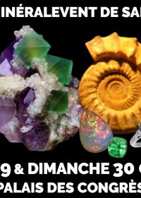 21ste MinéralEvent Beurs van Saint-Raphaël