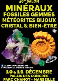 46e MinéralEvenementenbeurs in Marseille