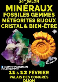 29e Mineralenevenement Dijon