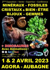 2e Fossiele Mineralen Kristallen Beurs