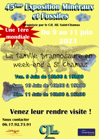 45e Mineralen- en Fossielenbeurs