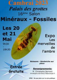 17e AGC Mineralen- en Fossielenbeurs. Gratis toegang van 9.30 tot 18.30 uur