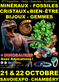 4e Fossiele Mineralen Kristallen & Welzijnsbeurs