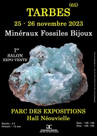 1e FOSSIELE MINERALEN SIERADEN SHOW