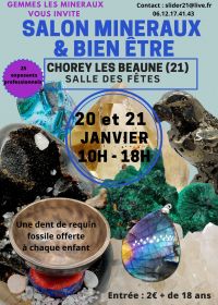 Mineralen, fossielen, meteorieten en welzijn worden getoond