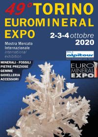 49e Turijn Euro Mineral Expo