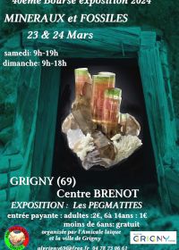 40e tentoonstelling over mineralen en fossielen