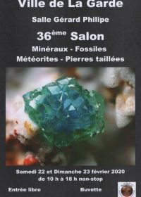 36e minerale en fossiele uitwisseling