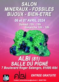 Mineralen, fossielen, designerjuwelen en welzijnsbeurs.