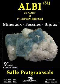 9e ALBI SIERADEN FOSSIELE MINERALEN TENTOONSTELLING