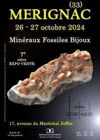 7e SIERADENHOW VAN FOSSIELE MINERALEN in MERIGNAC