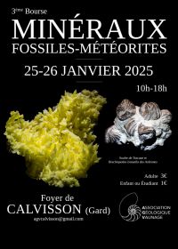 3e beurs fossiele mineralen meteorieten