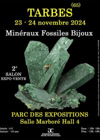 2e tentoonstelling over fossiele mineralen en sieraden
