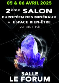 Europese tentoonstelling van mineralen en creaties - welzijnsruimte