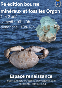 9e portemonnee fossiele mineralen sieraden meteorieten