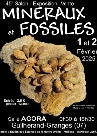 45e Guilherand-Granges Mineralen en Fossielen Exchange