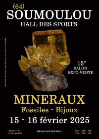 15e Soumoulou-show voor minerale fossiele sieraden