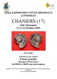 42e MINERALEN EN FOSSIELEN TENTOONSTELLINGSVERKOOP