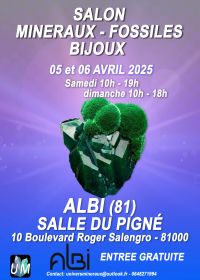 Tentoonstelling van mineralen, fossielen en designjuwelen.