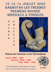 1e MINERALEN & FOSSIELEN TENTOONSTELLING