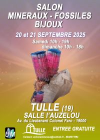 Tentoonstelling van mineralen, fossielen en designjuwelen.