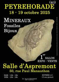 1e MINERALEN FOSSIELEN SIERADENSHOW