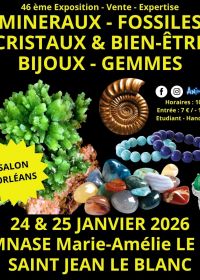 46e Mineralen-, Fossielen- en Edelstenenbeurs
