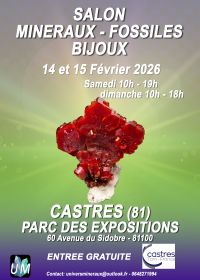 Tentoonstelling van mineralen, fossielen en designjuwelen.