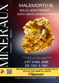 Mineralen, fossielen, edelstenen, sieradenshow