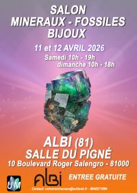 Tentoonstelling van mineralen, fossielen en designjuwelen.