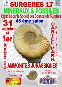 48e Internationale Mineralen- en Fossielententoonstelling