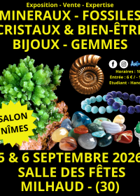 Mineralen, fossielen en kristallen laten zien
